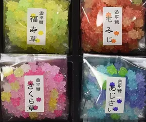 豆富本舗の京都四季のうつろい