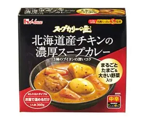 スープカリーの匠 北海道産チキンの濃厚スープカレー