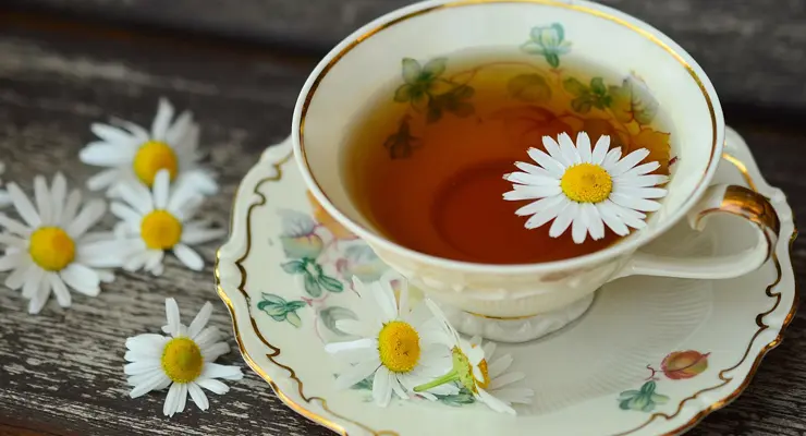 水出しの紅茶は食中毒のリスクがある？淹れ方やオススメの茶葉もご紹介！