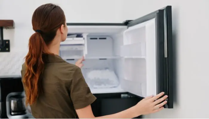 冷凍庫を開ける女性