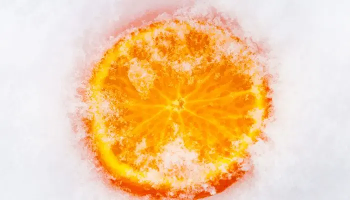 氷に埋もれた輪切りのオレンジ